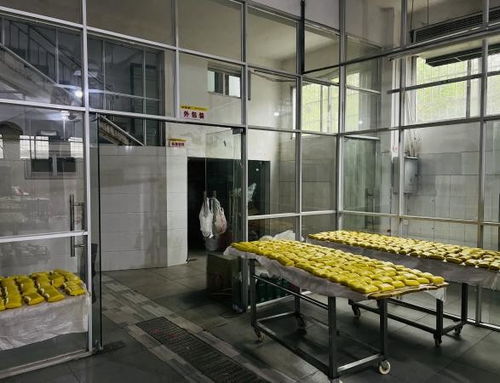 贛州市年順食品廠 關注食品安全 共享健康生活